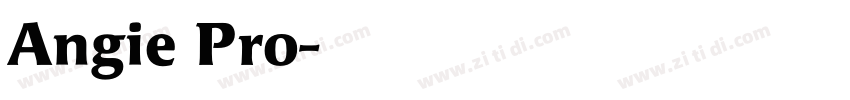 Angie Pro字体转换